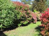 63 Drumdonald Road - Photo 6