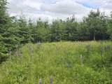 Lot 6 41 Brule Shore Road - Photo 6