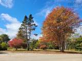 186 Hartz Point Road - Photo 36