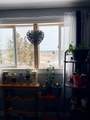 9 Burchell Street - Photo 40