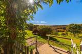 481 Chute Road - Photo 47
