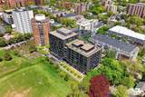 1048 Wellington Street - Photo 4