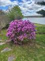 22676 Highway 7 - Photo 9