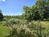 547 Harold Whynot Road - Photo 25