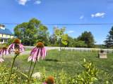 547 Harold Whynot Road - Photo 36