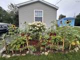 3 Heather Street - Photo 4