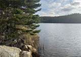 1095 New Harbour Lundy Road - Photo 24