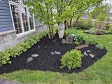 172 Stargazer Drive - Photo 44