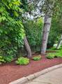 403 Prince Street - Photo 8