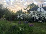 5211 Brooklyn Street - Photo 2