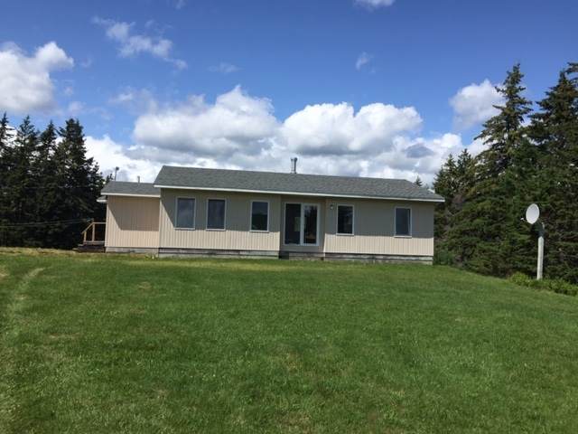 4803 Lower Washabuck Road - Photo 1