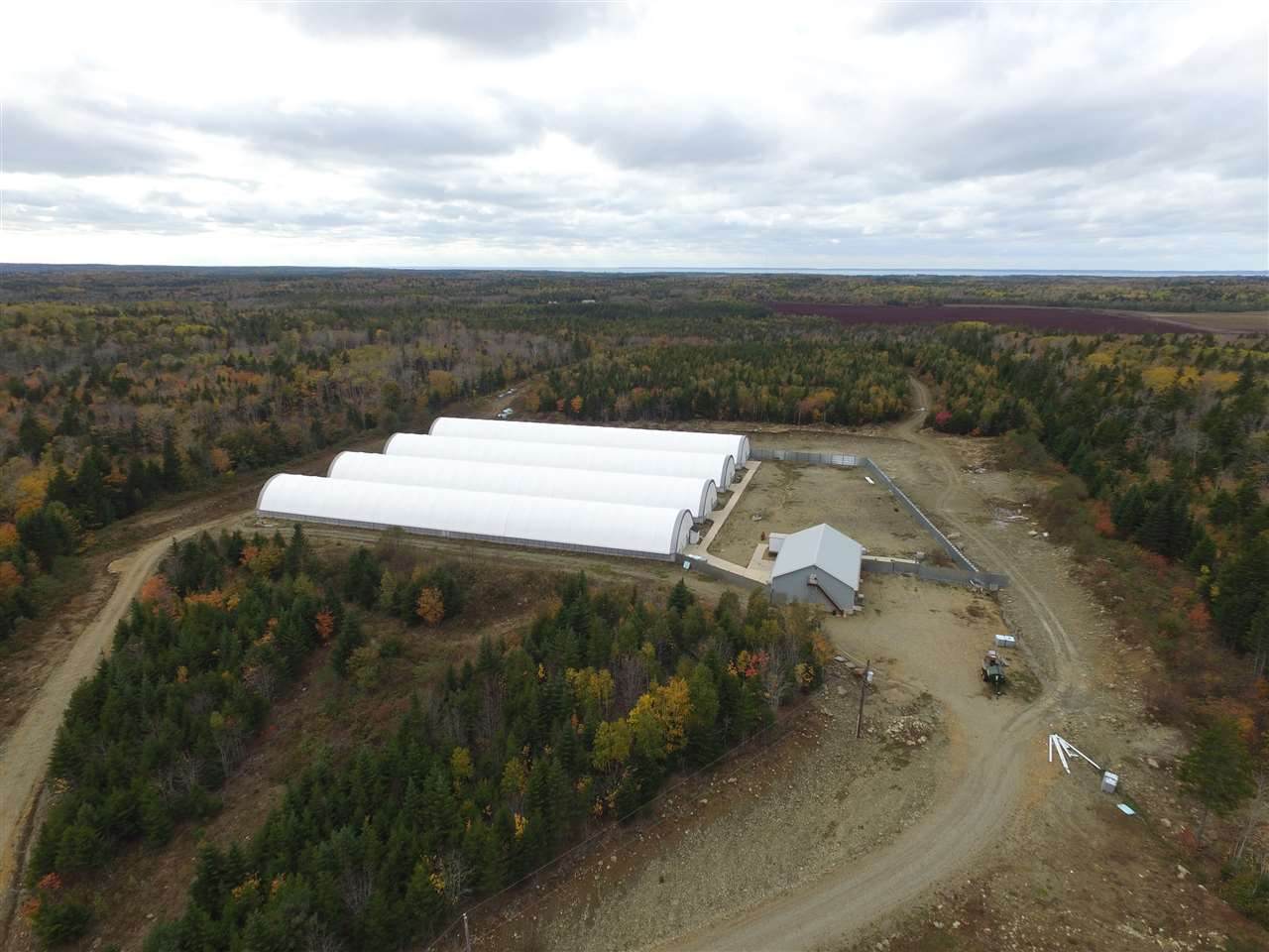117 Chemin Du Petite Moulin Road - Photo 1