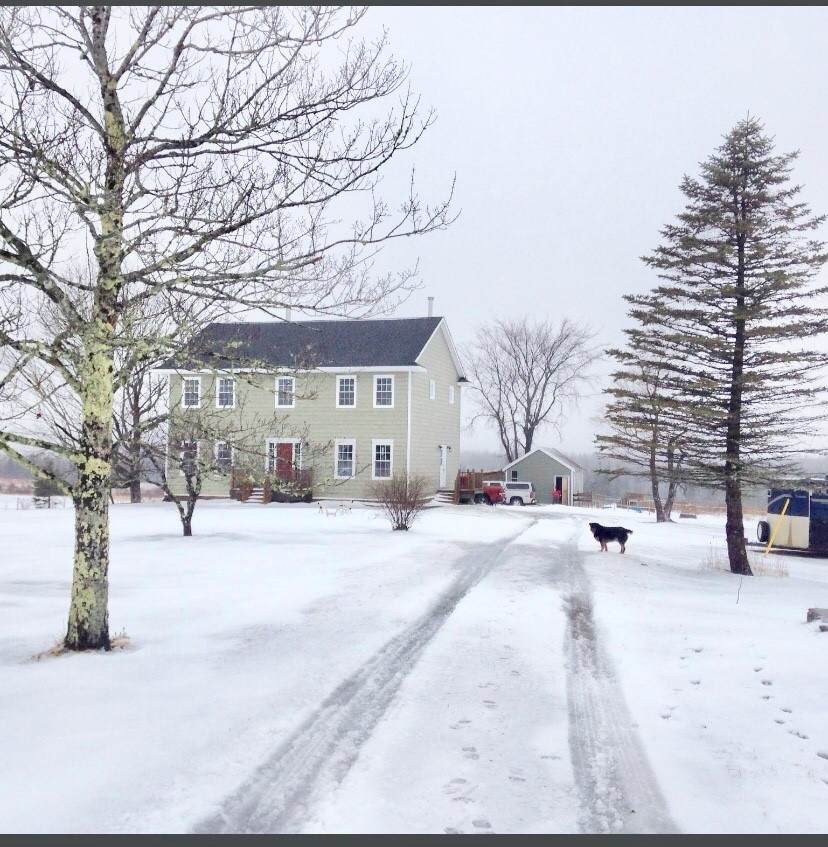 228 Old Halifax Road - Photo 1