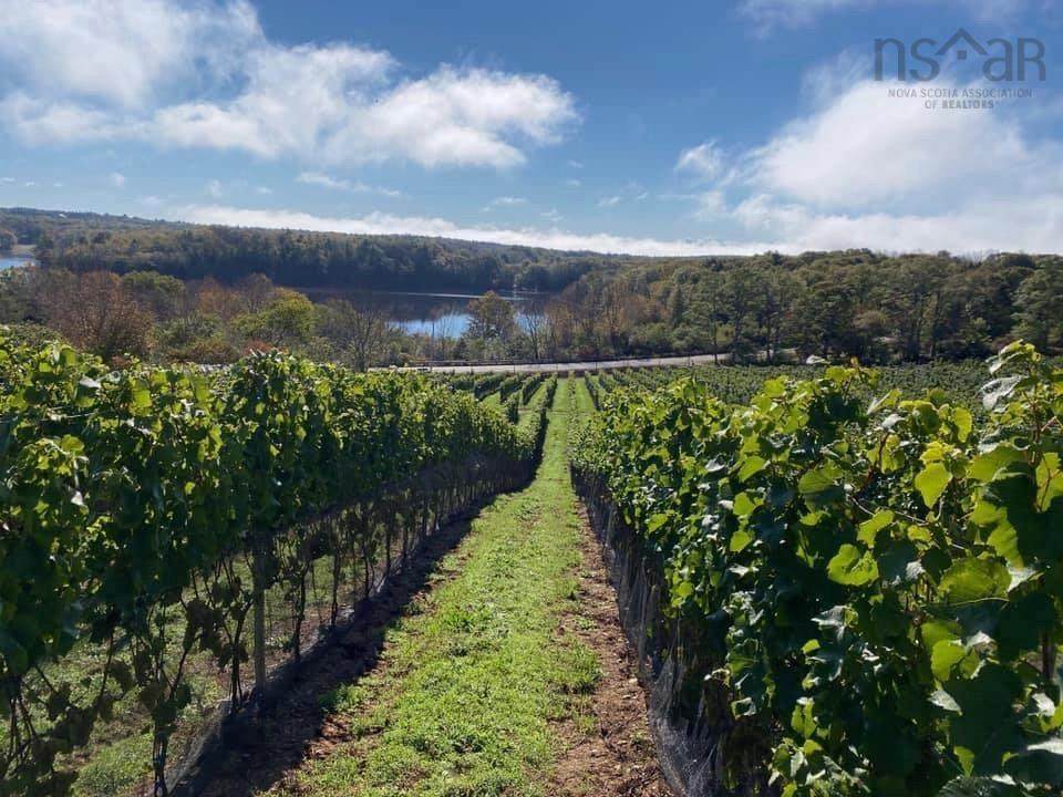 4113 Highway 340 - Photo 1