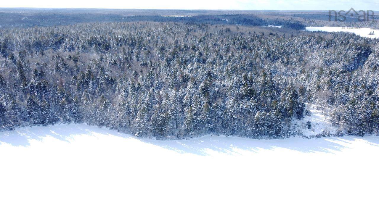  Lake Shore Drive - Photo 1