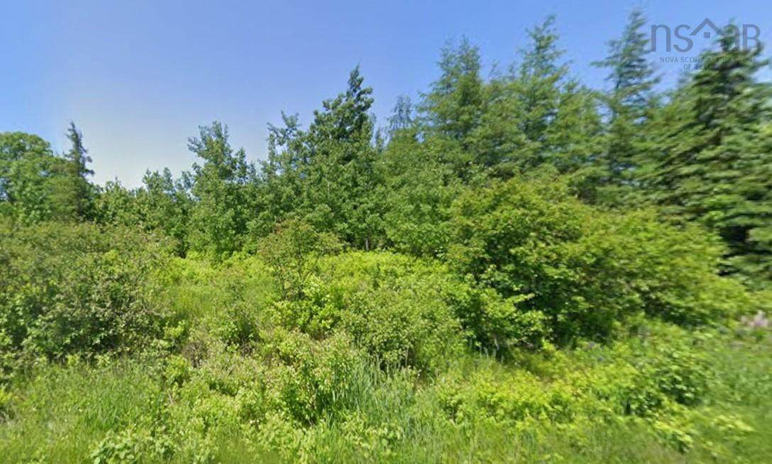  Malagash Road - Photo 1