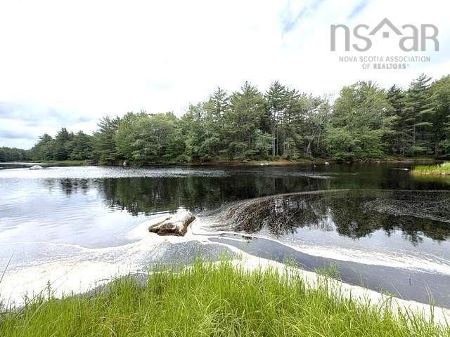  Highway 203 - Photo 1