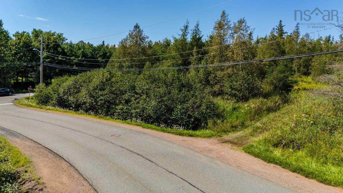  Old Court House Branch Road - Photo 1