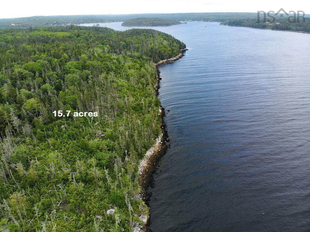  Shad Bay - Photo 1