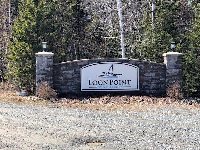 Loon Point Trail - Photo 1
