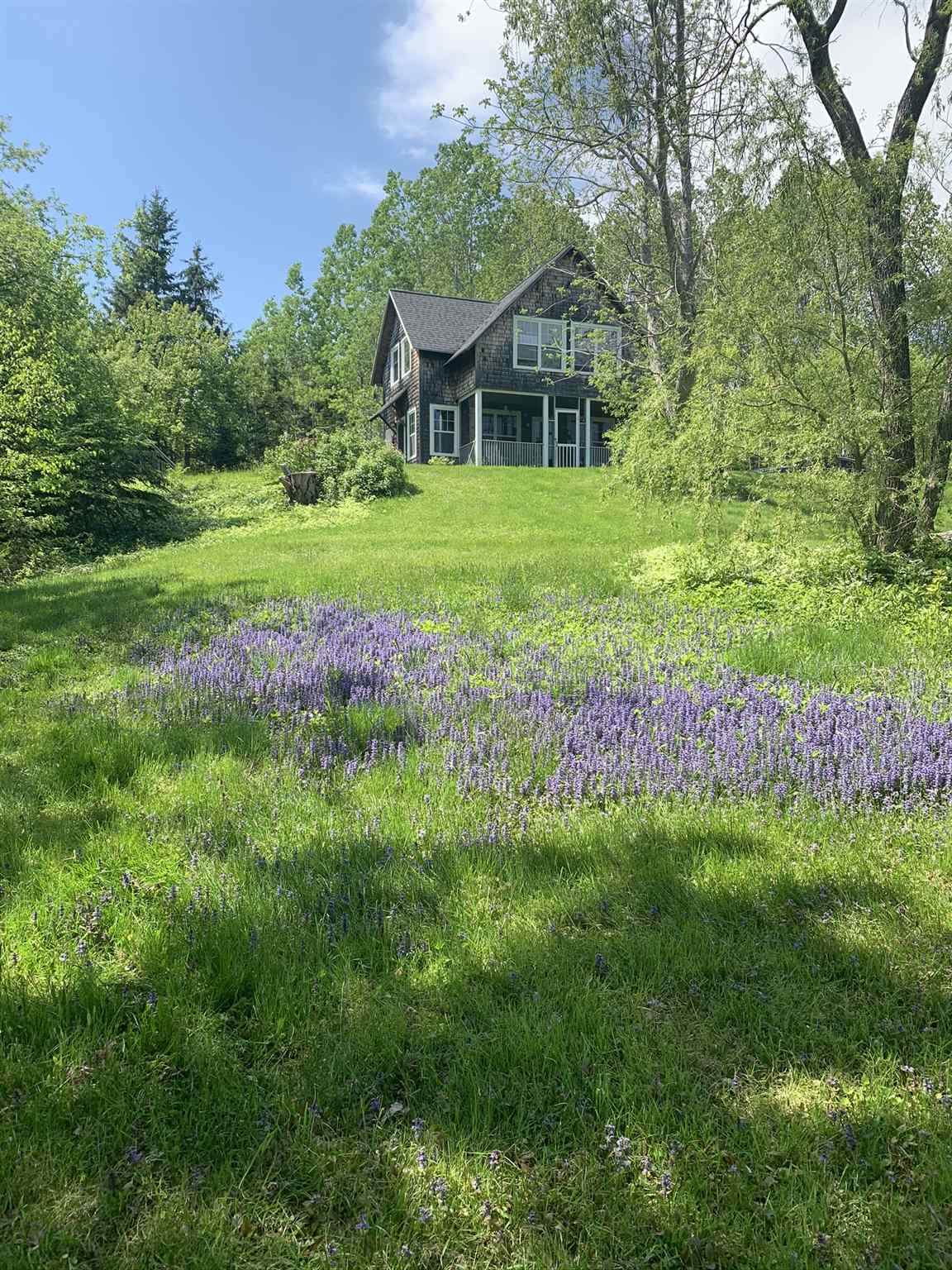 49070 Cabot Trail Road - Photo 1