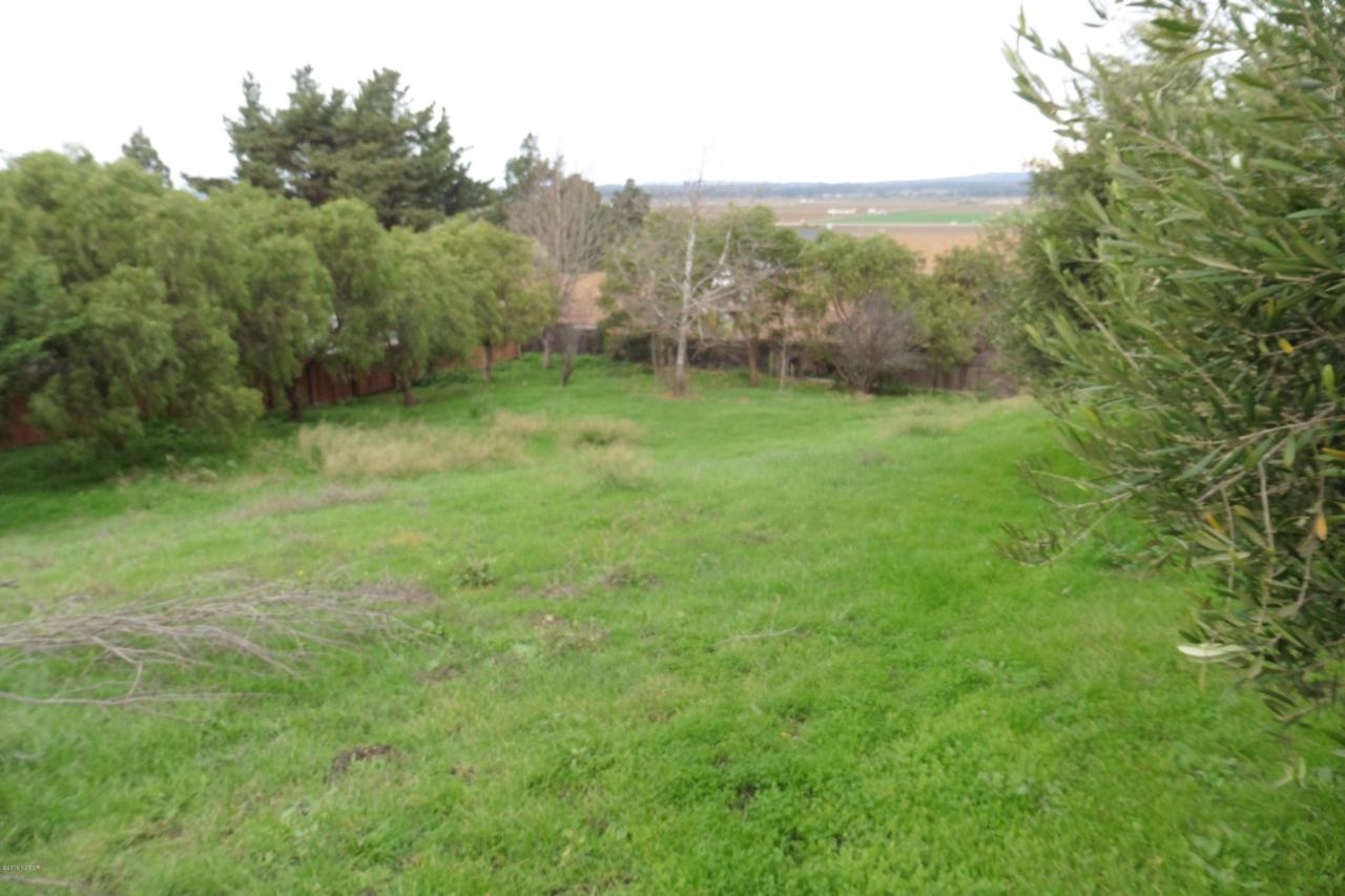 526 Avalon Street - Photo 1