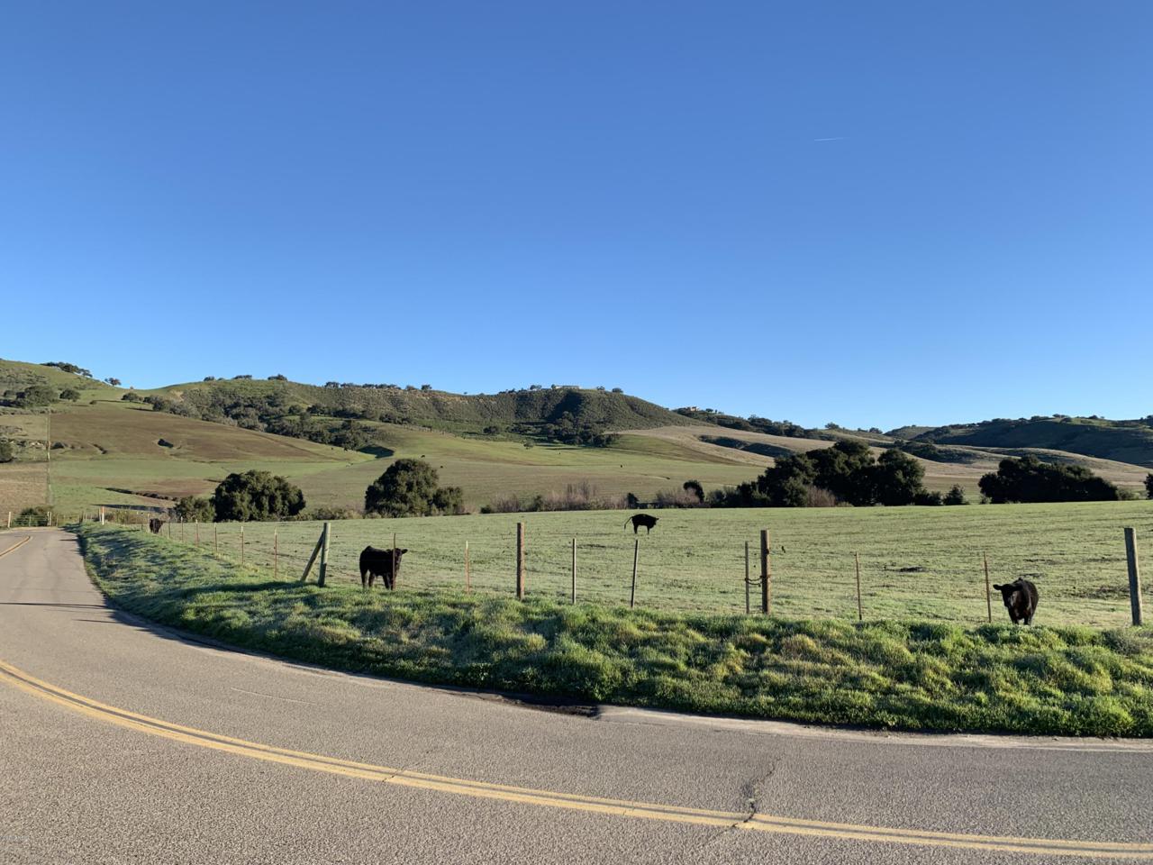 0 Cat Canyon - Photo 1