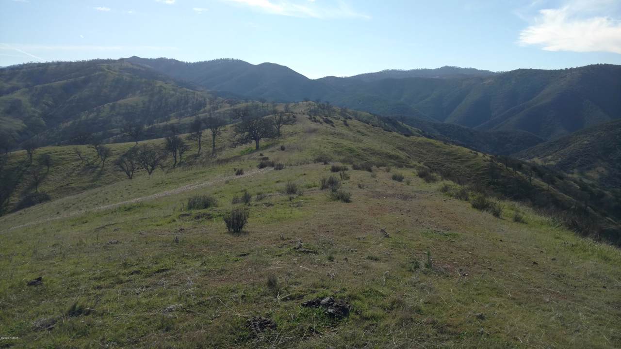 Cable Corral Road - Photo 1