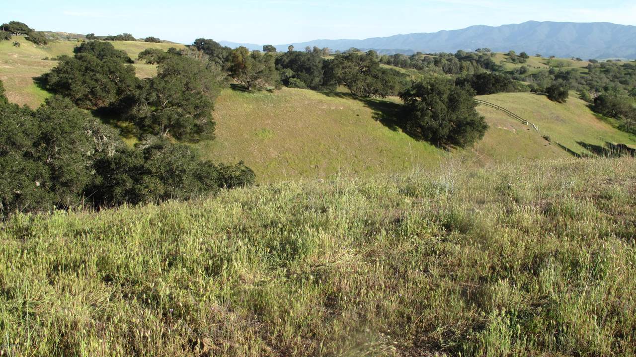 3160 Live Oak Road - Photo 1