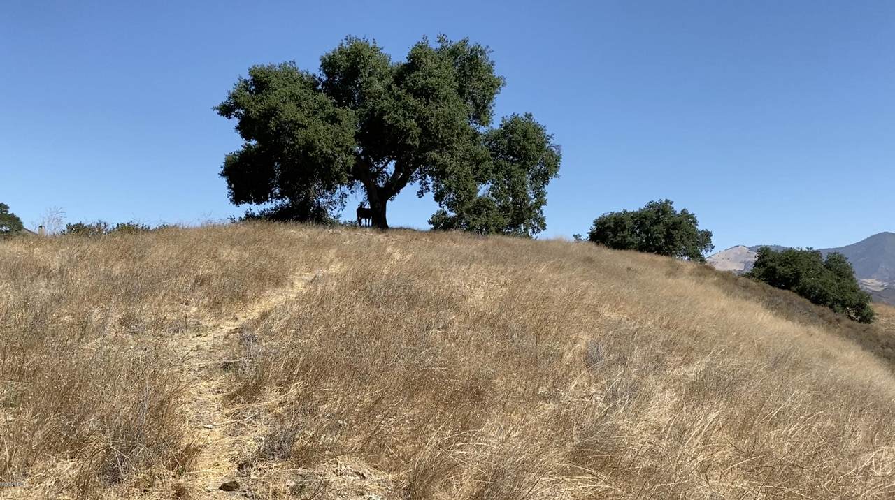 0000 Long Valley Road - Photo 1