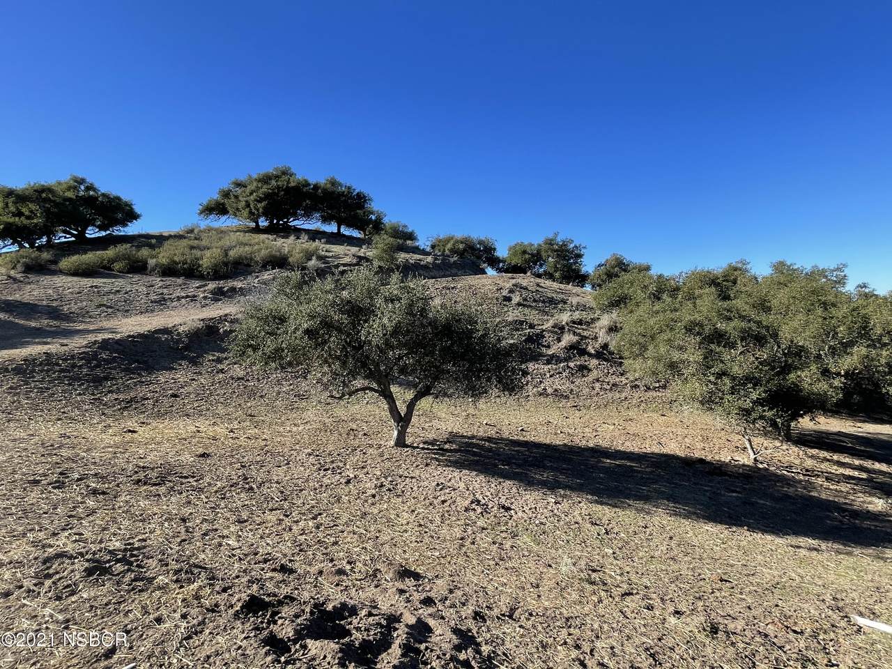 6801 Long Canyon Road - Photo 1