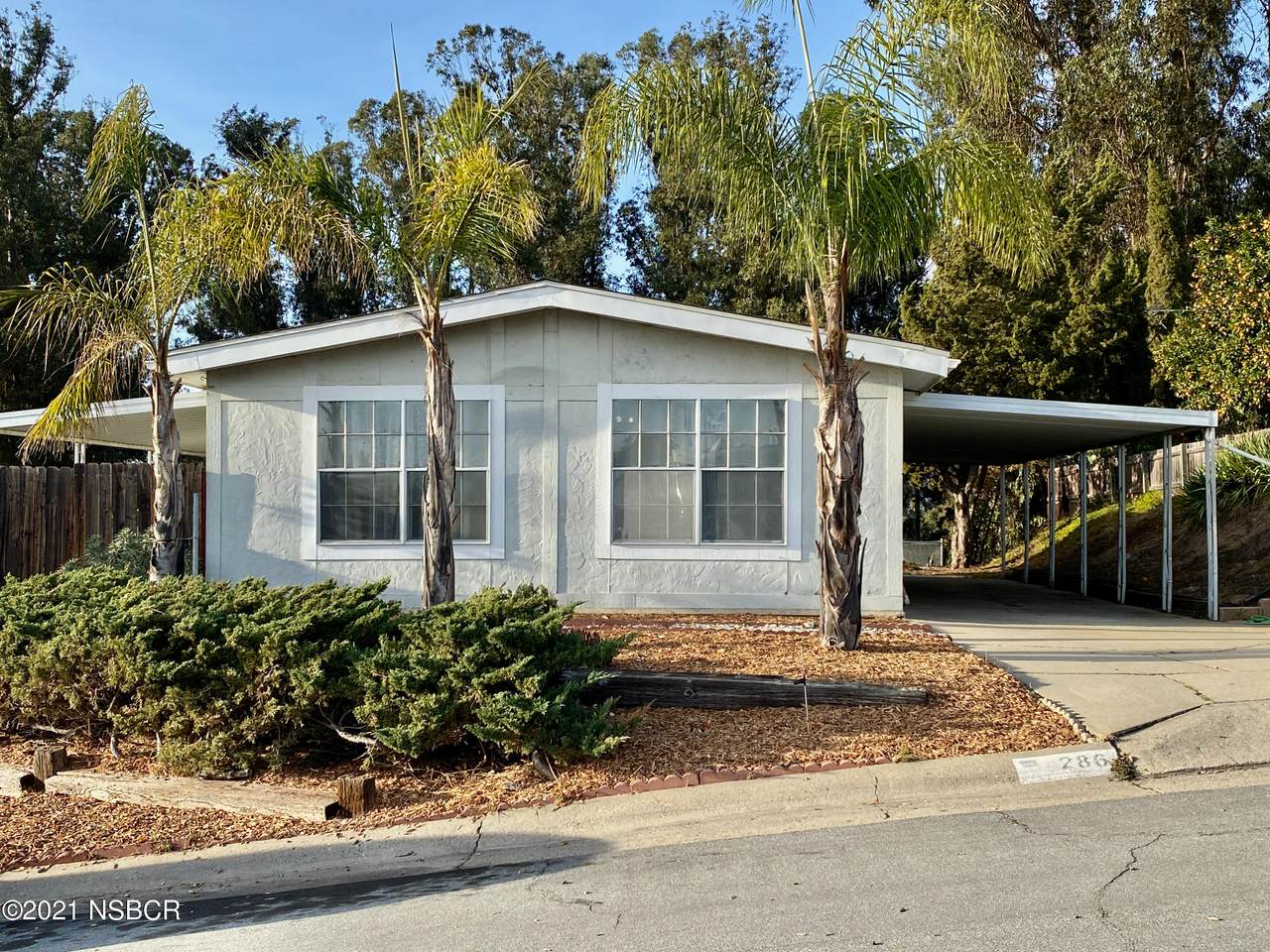 286 Trevino Drive - Photo 1