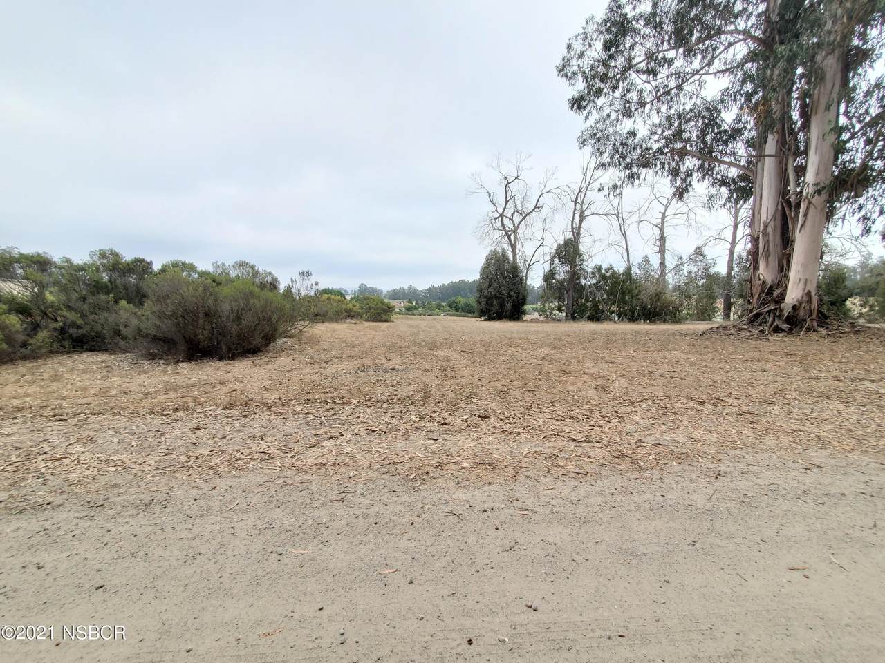 1175 Calle Atapaneo - Photo 1