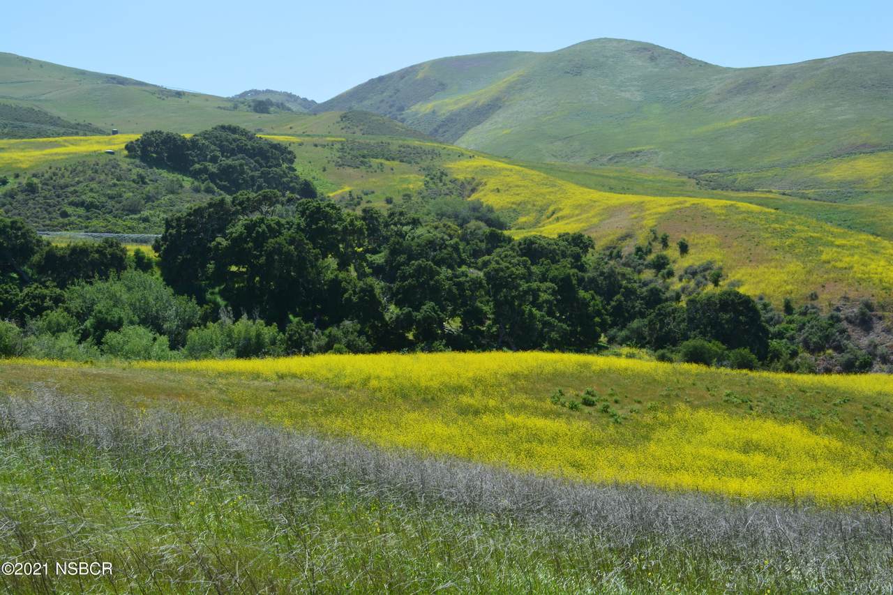 6550 Santa Rosa Road - Photo 1