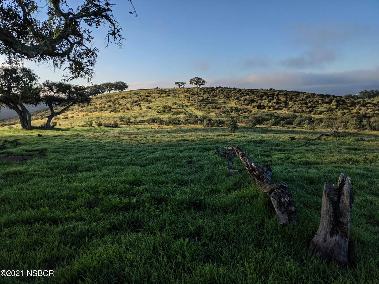 001 Sweeney Road - Photo 1