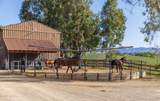3325 Figueroa Mountain Road - Photo 55