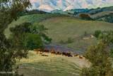 3325 Figueroa Mountain Road - Photo 75