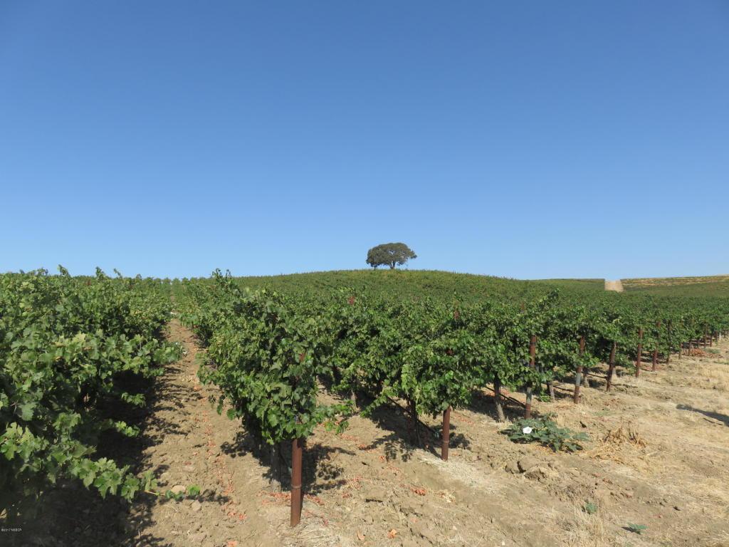 1172 San Marcos Road - Photo 1