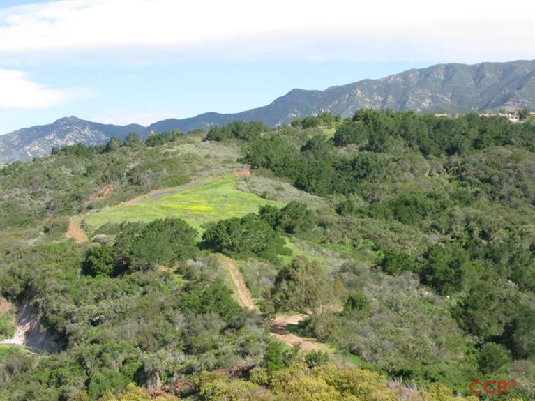3589 Toro Canyon Road - Photo 1