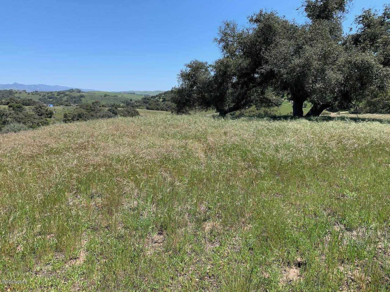 6767 Long Canyon Road - Photo 1 6767 Long Canyon Road - Photo 1