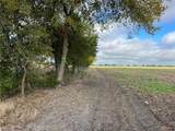 TBD Cr 117 Road - Photo 3