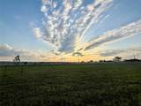 12262 Fm 1384 - Photo 10