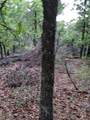 00000 Hwy 59 S - Photo 10