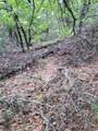 00000 Hwy 59 S - Photo 11