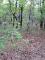 00000 Hwy 59 S - Photo 12