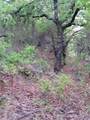 00000 Hwy 59 S - Photo 13