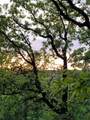 00000 Hwy 59 S - Photo 15