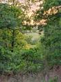 00000 Hwy 59 S - Photo 2
