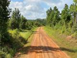 TBD County Road 394 - Photo 5