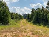 TBD County Road 394 - Photo 6